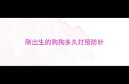 刚出生的狗狗多久打预防针