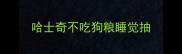 哈士奇不吃狗粮睡觉抽