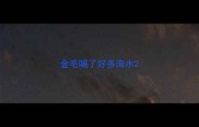 金毛喝了好多海水