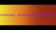 拉布拉多幼犬科学喂养指南育犬期营养配比与成长阶段饮食方案附食谱