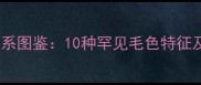 哈士奇全色系图鉴10种罕见毛色特征及养护指南