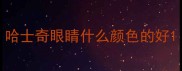 哈士奇眼睛什么颜色的好