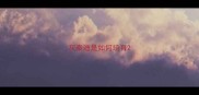 灰泰迪是如何培育