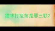 猫咪打疫苗是那三联