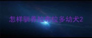 怎样驯养拉布拉多幼犬
