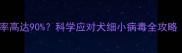 哈士奇细小死亡率高达90科学应对犬细小病毒全攻略附急救指南