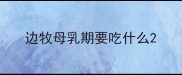 边牧母乳期要吃什么