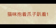 猫咪抱着爪子趴着