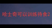 哈士奇可以训练待食