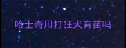 哈士奇用打狂犬育苗吗