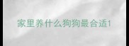 家里养什么狗狗最合适