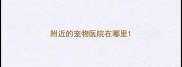 附近的宠物医院在哪里