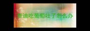 泰迪吃葡萄吐了怎么办