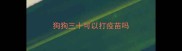 狗狗三十可以打疫苗吗