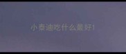 小泰迪吃什么最好
