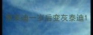黑泰迪一岁后变灰泰迪