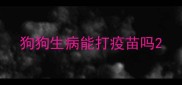 狗狗生病能打疫苗吗
