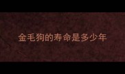 金毛狗的寿命是多少年