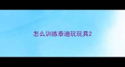 怎么训练泰迪玩玩具