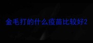 金毛打的什么疫苗比较好