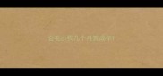 金毛小狗几个月算成年