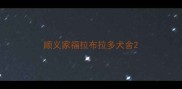 顺义家福拉布拉多犬舍