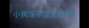 小狗尿不湿怎么用