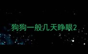 狗狗一般几天睁眼