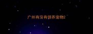 广州有没有领养宠物