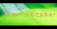 幼犬疫苗全攻略疫苗接种后必看注意事项附紧急处理指南