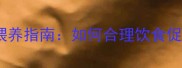 哈士奇科学喂养指南如何合理饮食促进健康成长