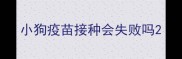 小狗疫苗接种会失败吗