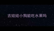 吉娃娃小狗能吃水果吗