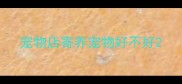 宠物店寄养宠物好不好
