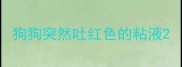 狗狗突然吐红色的粘液