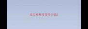 串拉布拉多卖多少钱