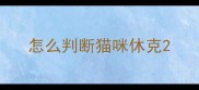 怎么判断猫咪休克