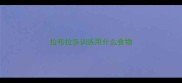 拉布拉多训练用什么食物