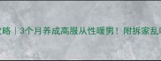 金毛训练全攻略3个月养成高服从性暖男附拆家乱吠扑人矫正方案