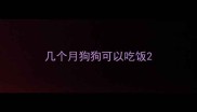 几个月狗狗可以吃饭