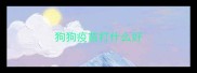 狗狗疫苗打什么好