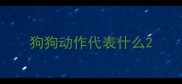 狗狗动作代表什么