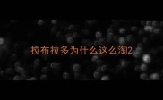拉布拉多为什么这么淘