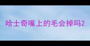 哈士奇嘴上的毛会掉吗