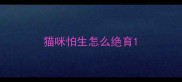 猫咪怕生怎么绝育