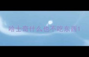 哈士奇什么也不吃东西