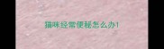猫咪经常便秘怎么办