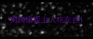 狗狗偷看主人吃东西
