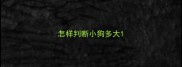 怎样判断小狗多大