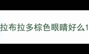 拉布拉多棕色眼睛好么